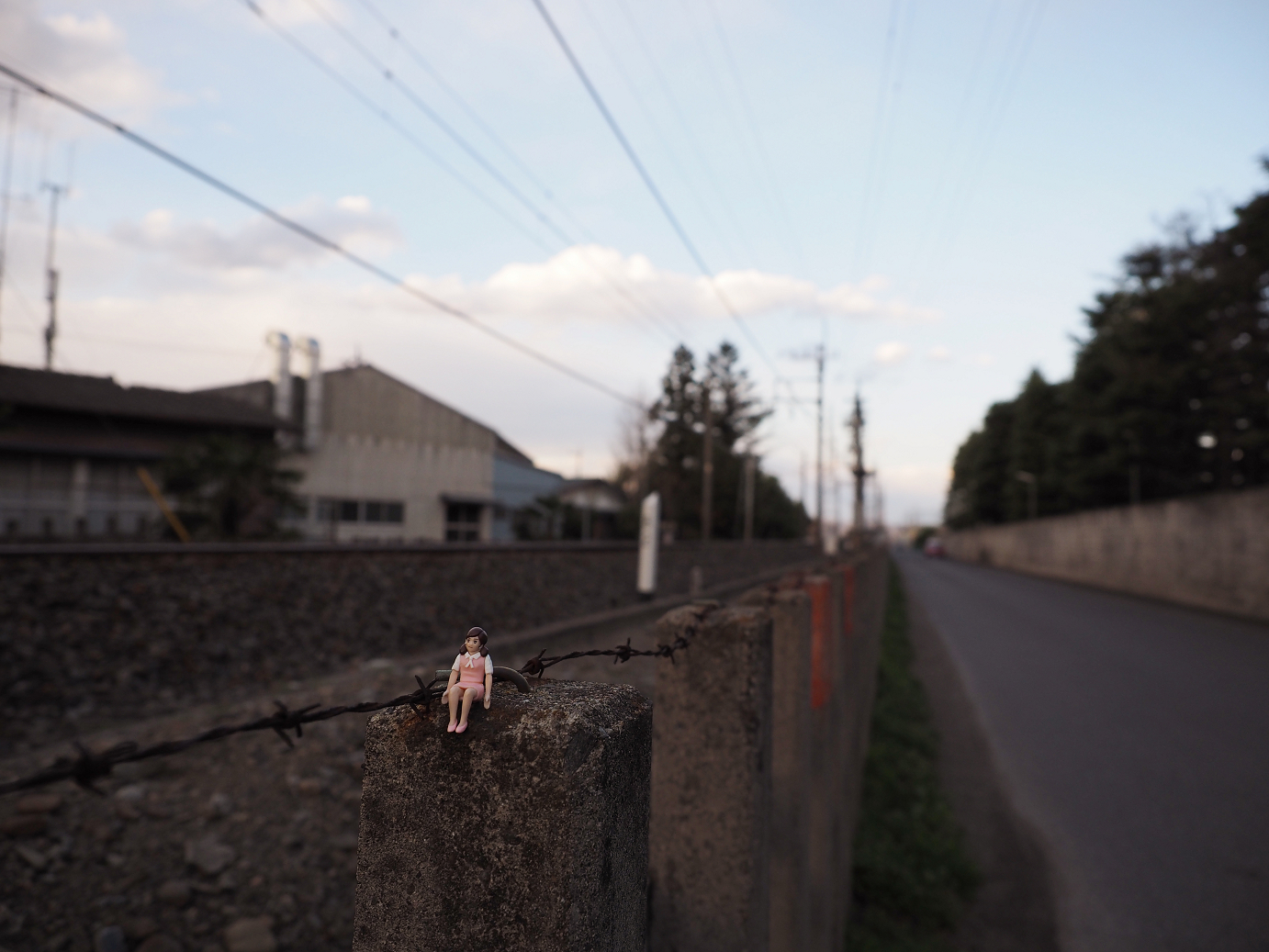 P4050477.jpg