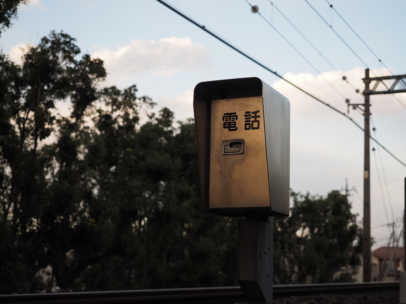 P4050481.jpg