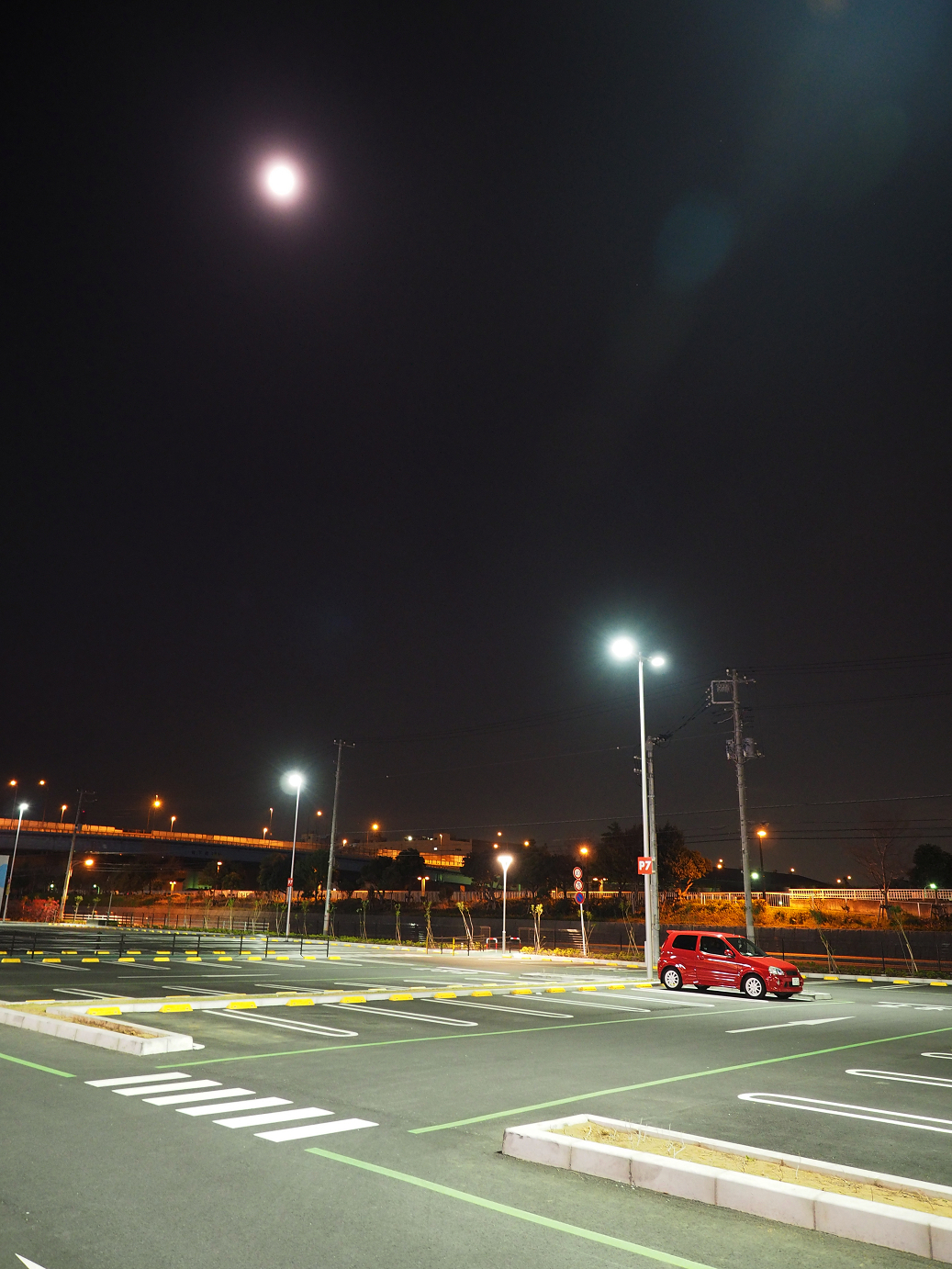 P4131036.jpg