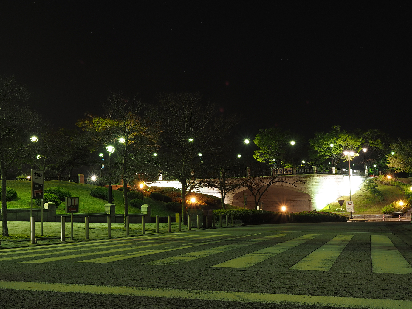 P4131046.jpg