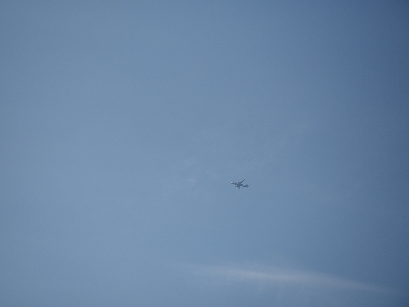 P4131064.jpg