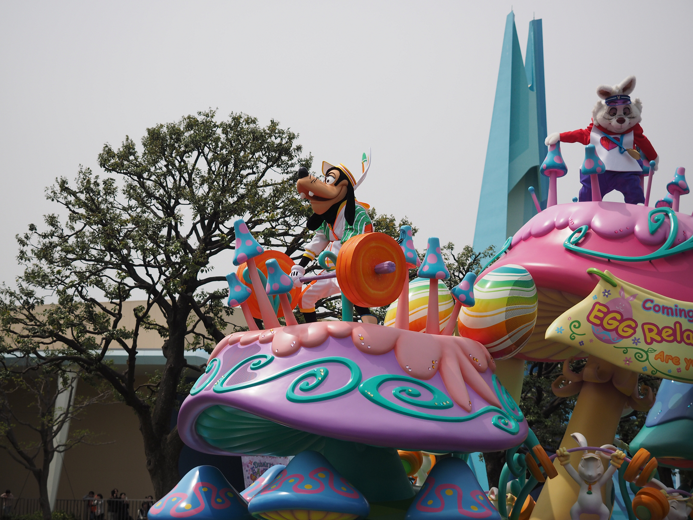 P4131132.jpg