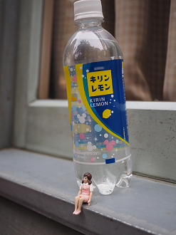 P4131176_thumb.png