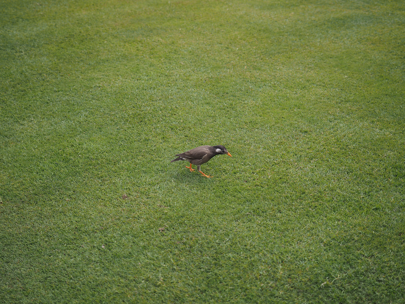 P4131209.jpg