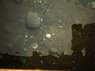 P4131245_thumb.png