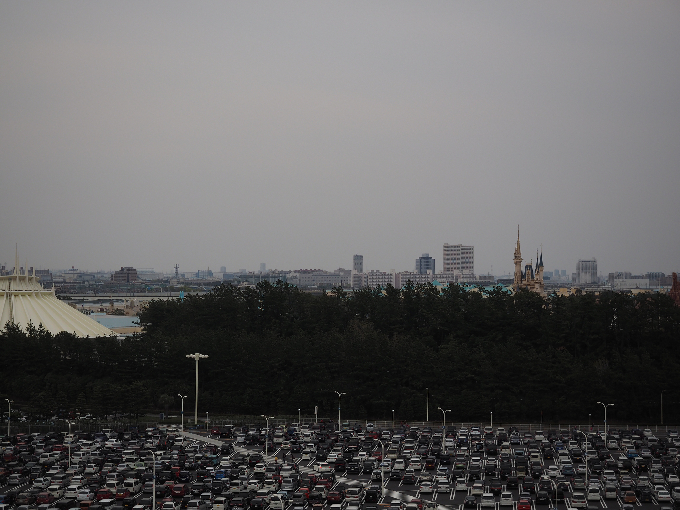 P4131299.jpg