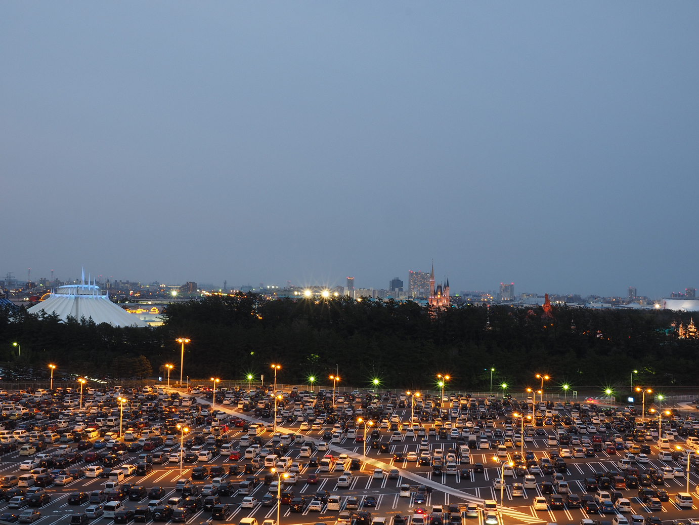 P4131314.jpg