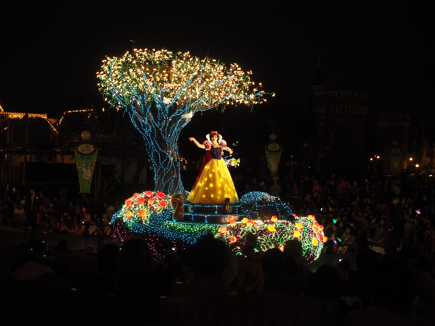 P4132032.jpg