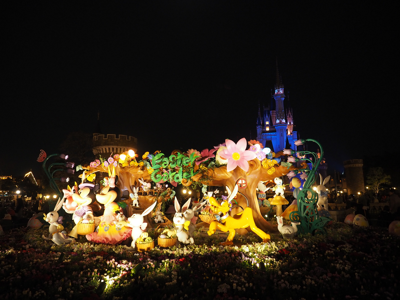 P4132081.jpg