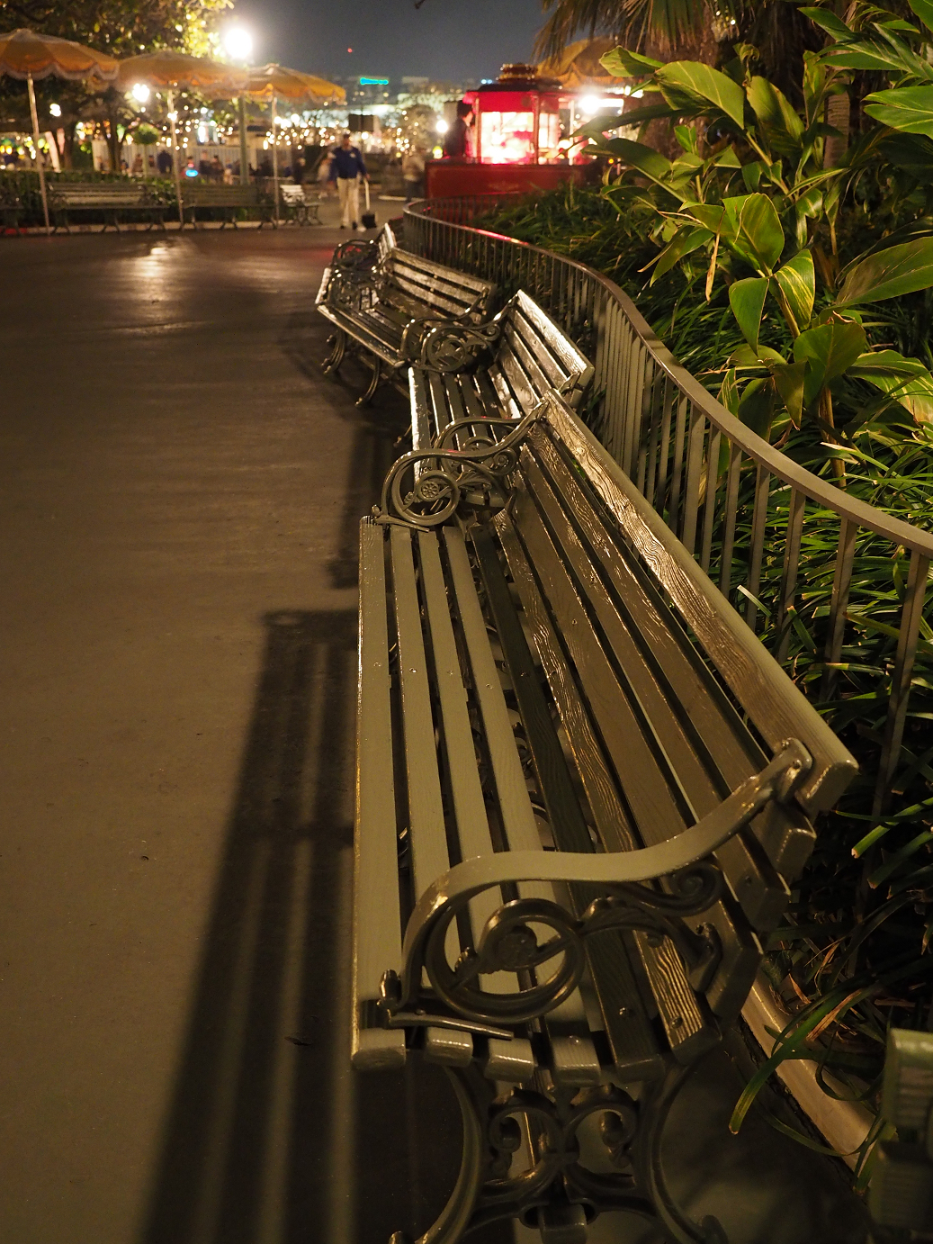 P4132109.jpg