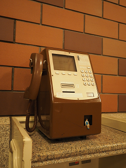 P4132175_thumb.png