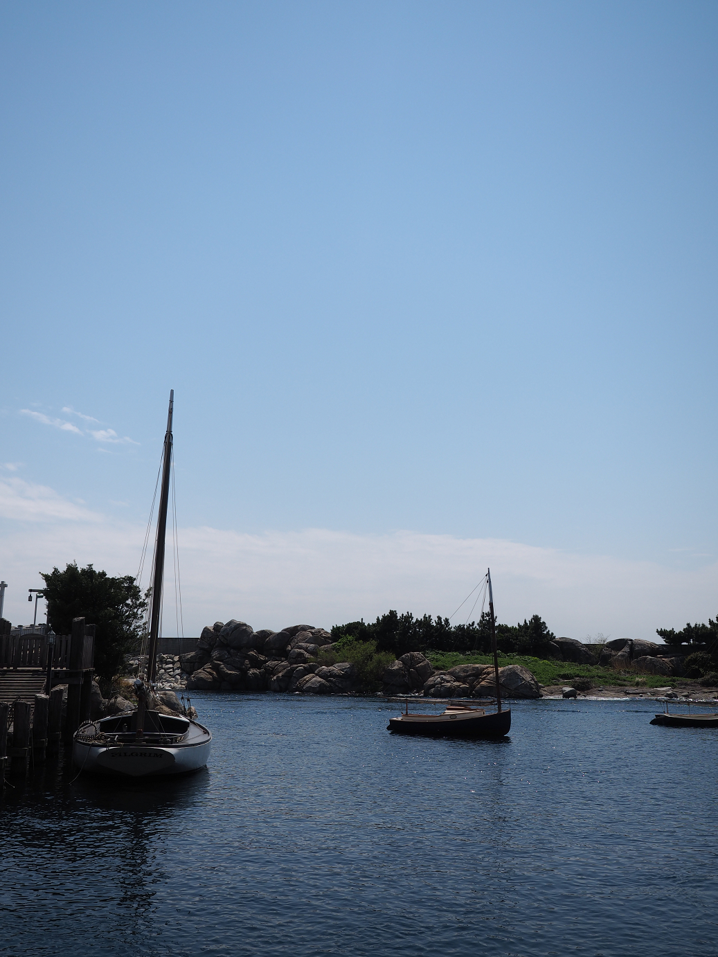 P4140228.jpg