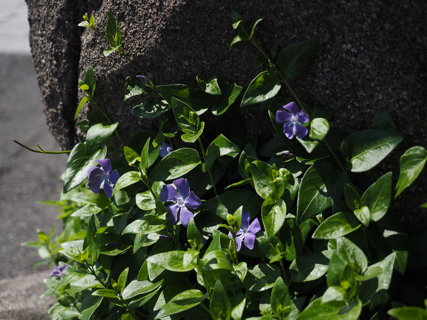 P4140333.jpg
