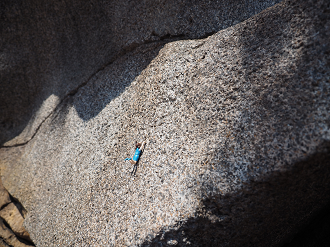 P4140337_thumb.png