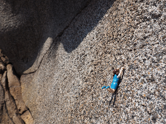 P4140344_thumb.png