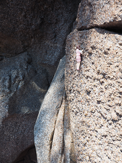 P4140345_thumb.png