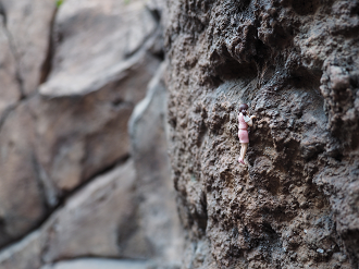 P4140560_thumb.png