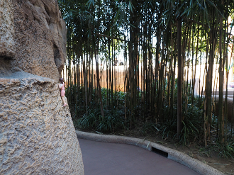 P4140578_thumb.png
