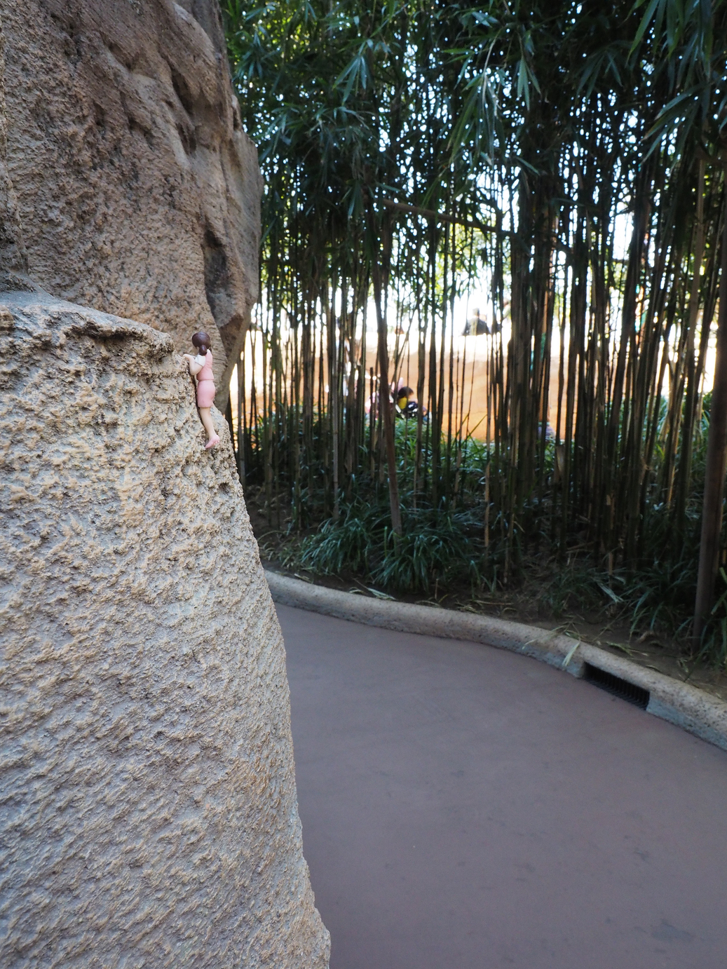 P4140580.jpg