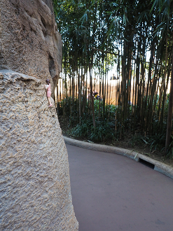 P4140580_thumb.png