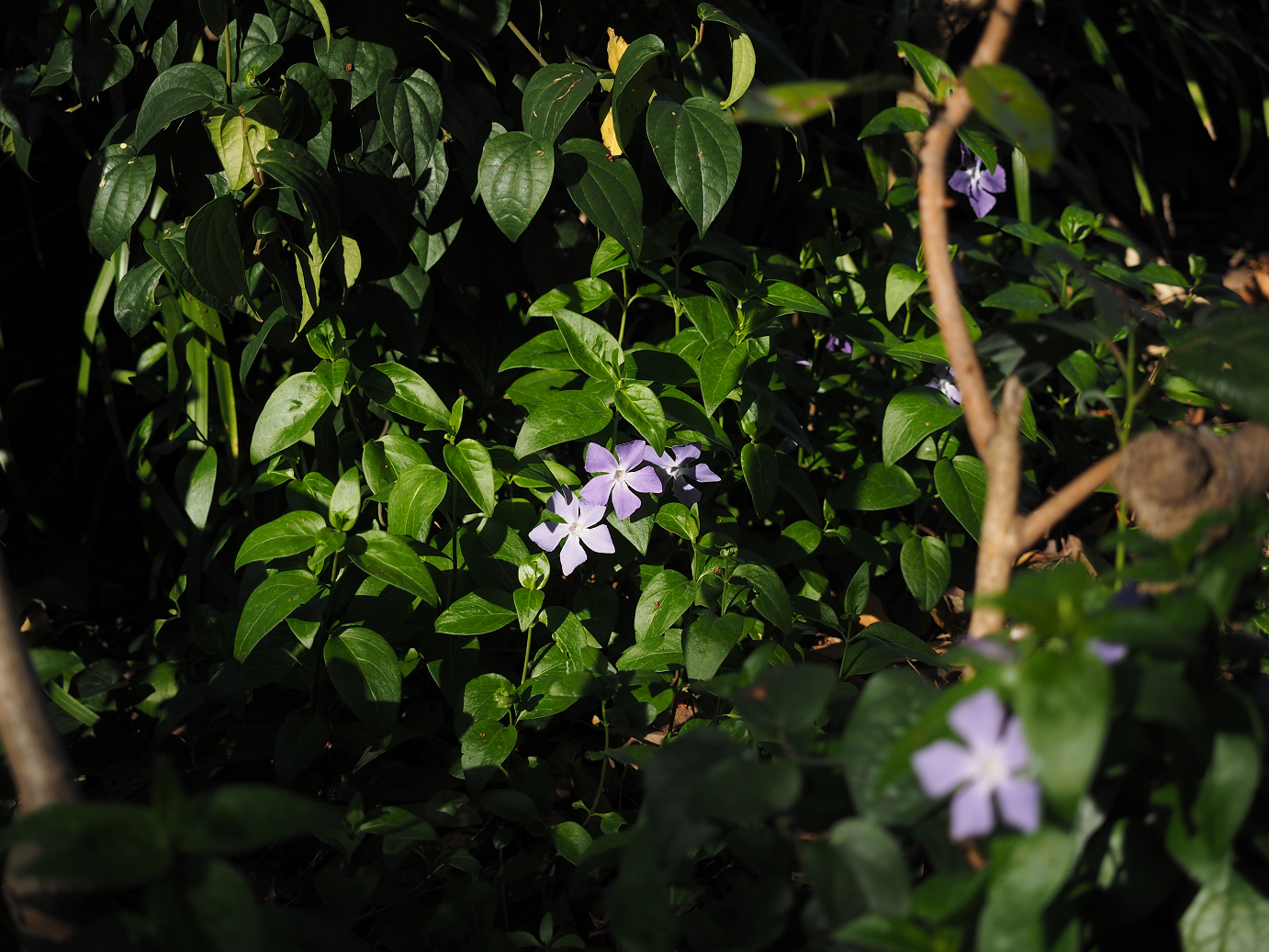 P4140706.jpg