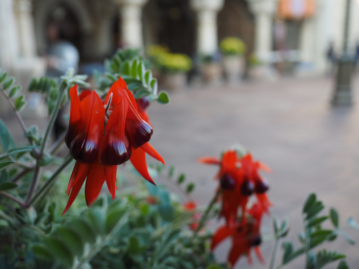 P4140858.jpg
