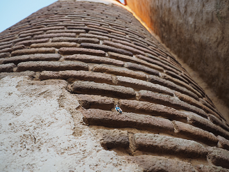 P4141020_thumb.png
