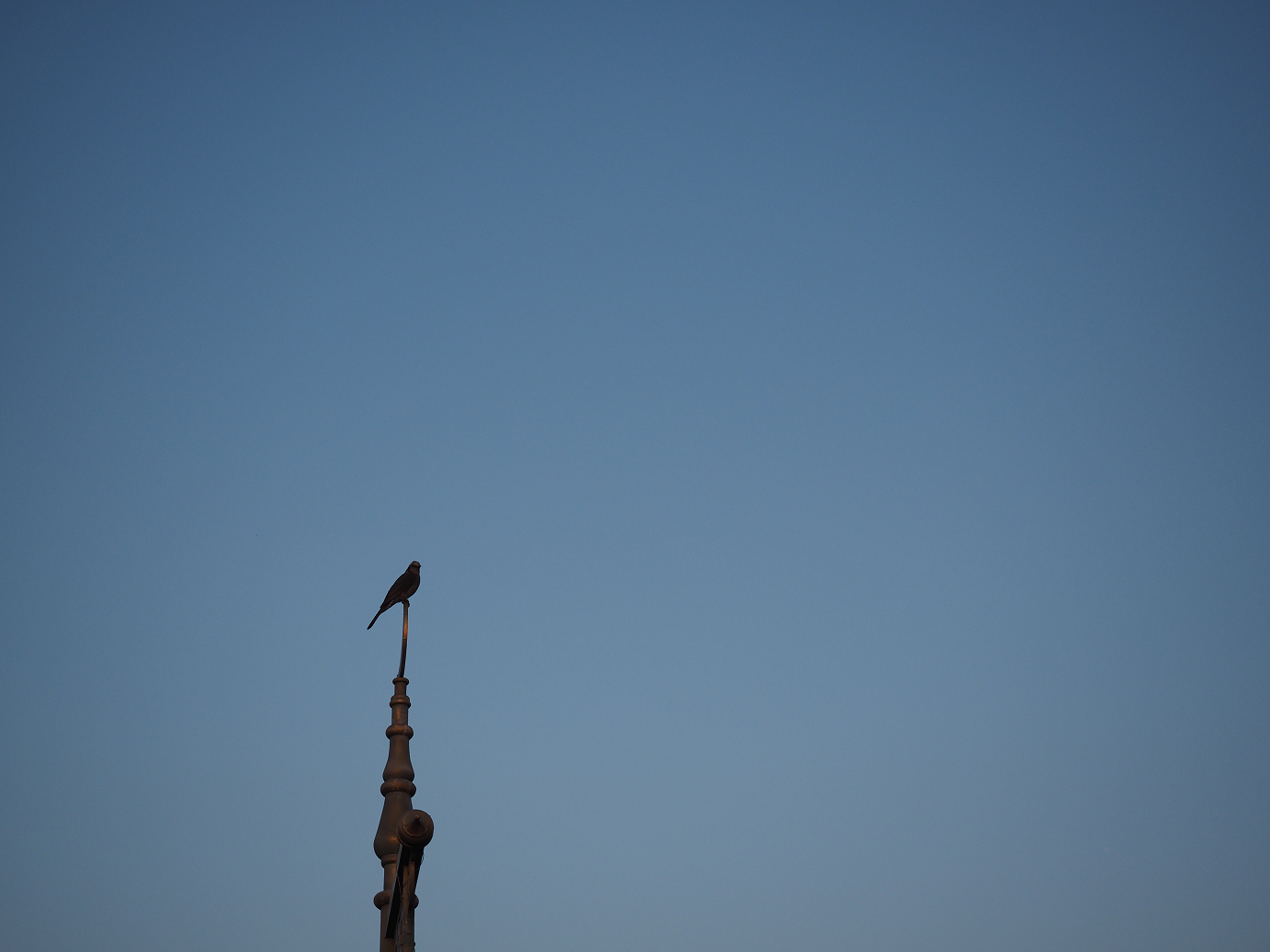 P4141048.jpg