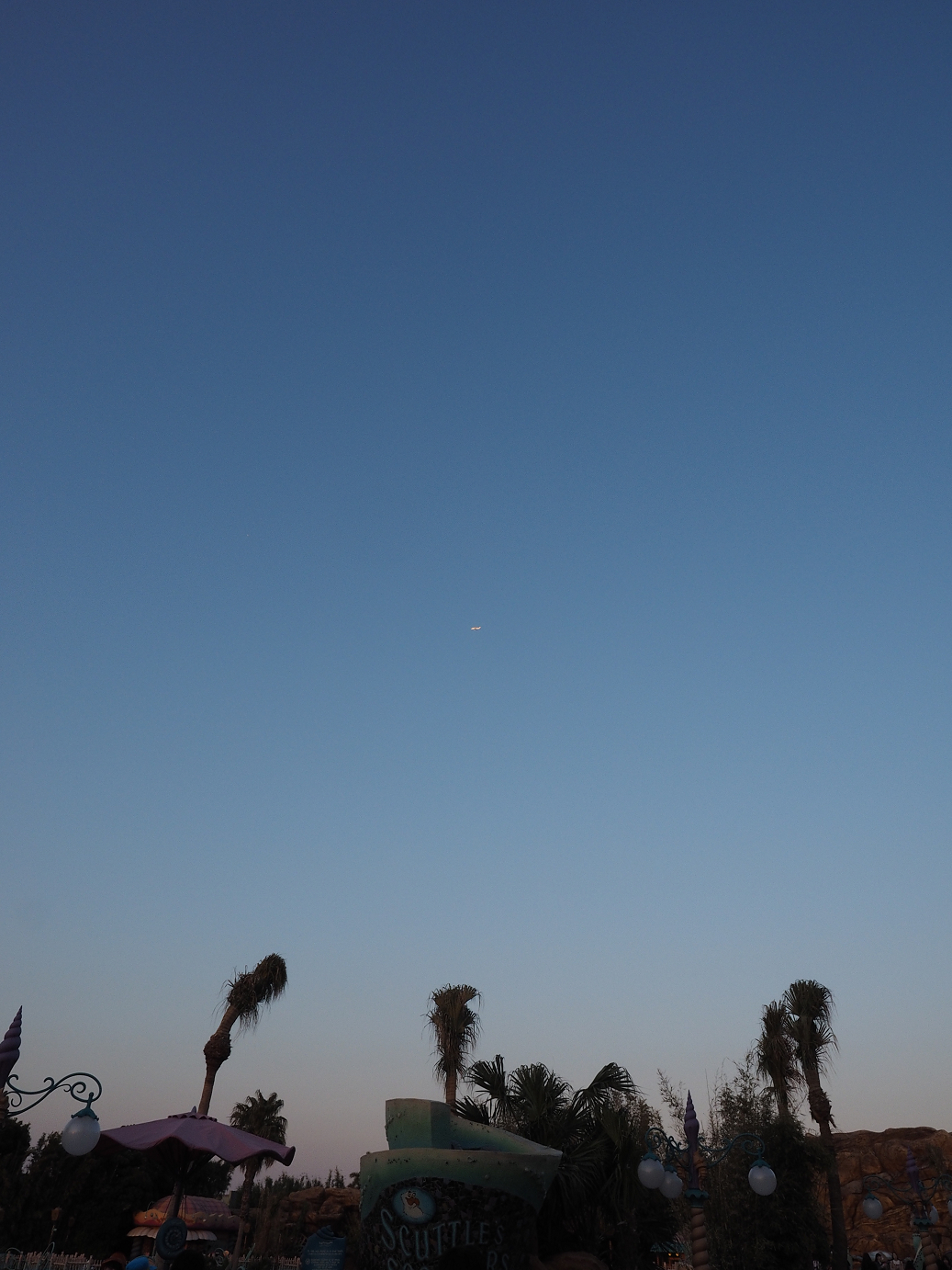 P4141056.jpg