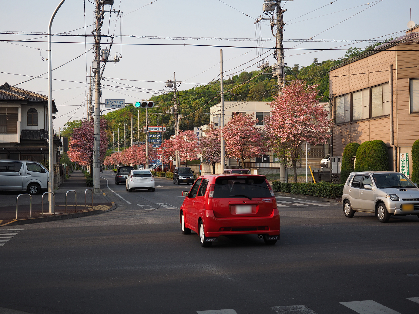 P4270991.jpg