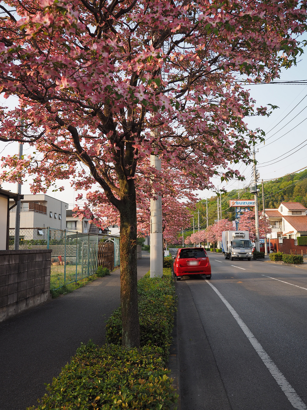 P4270993.jpg