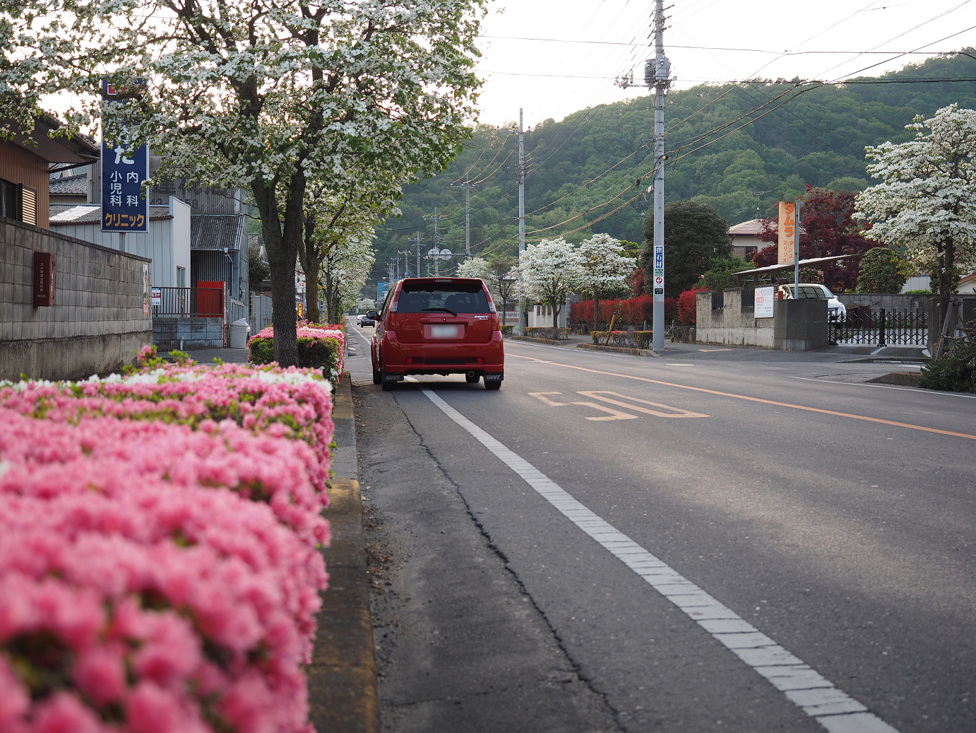 P4271020.jpg