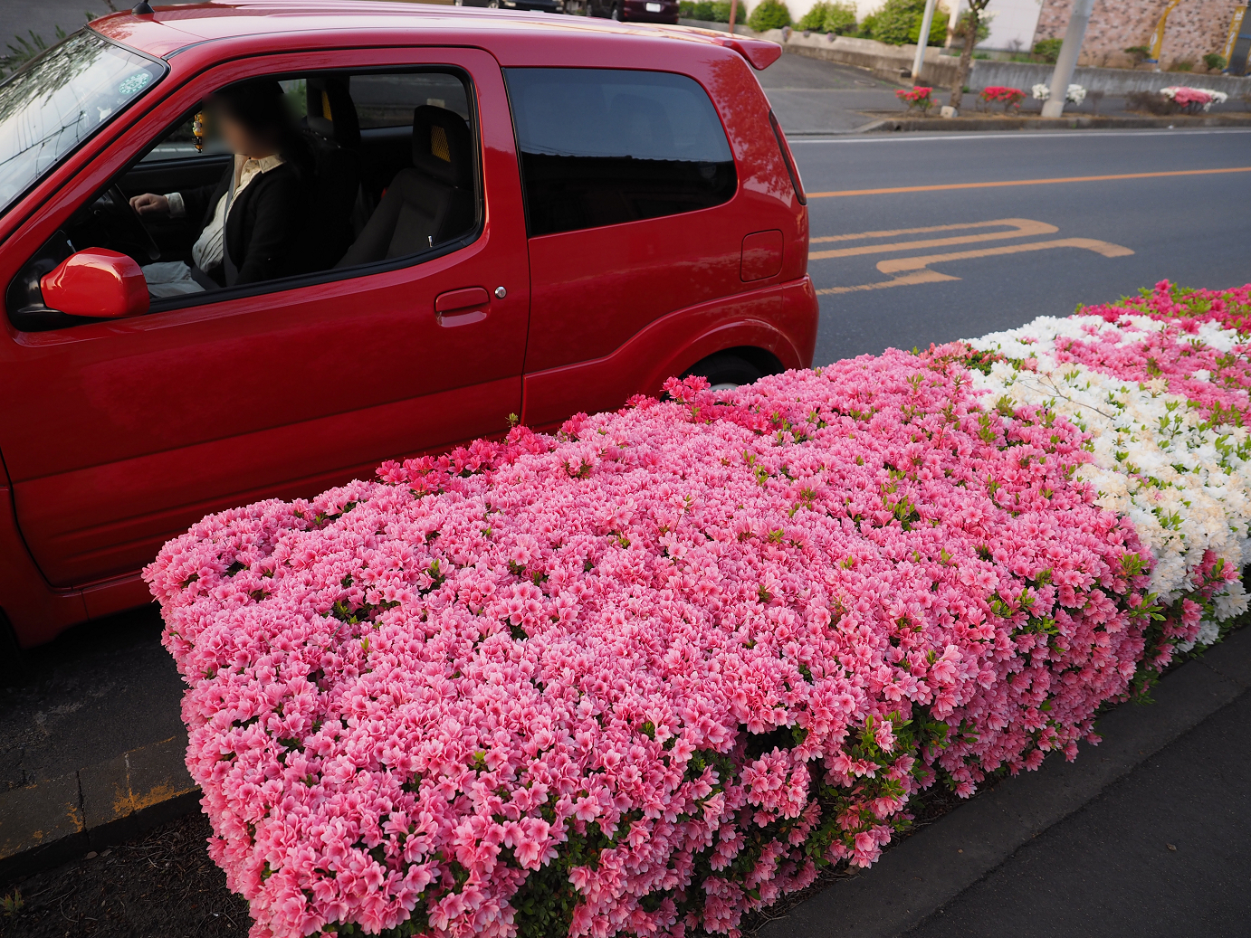 P4271041.jpg