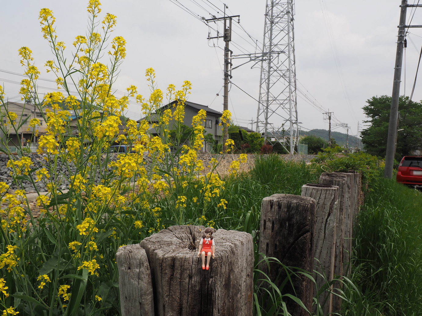 P4291073.jpg