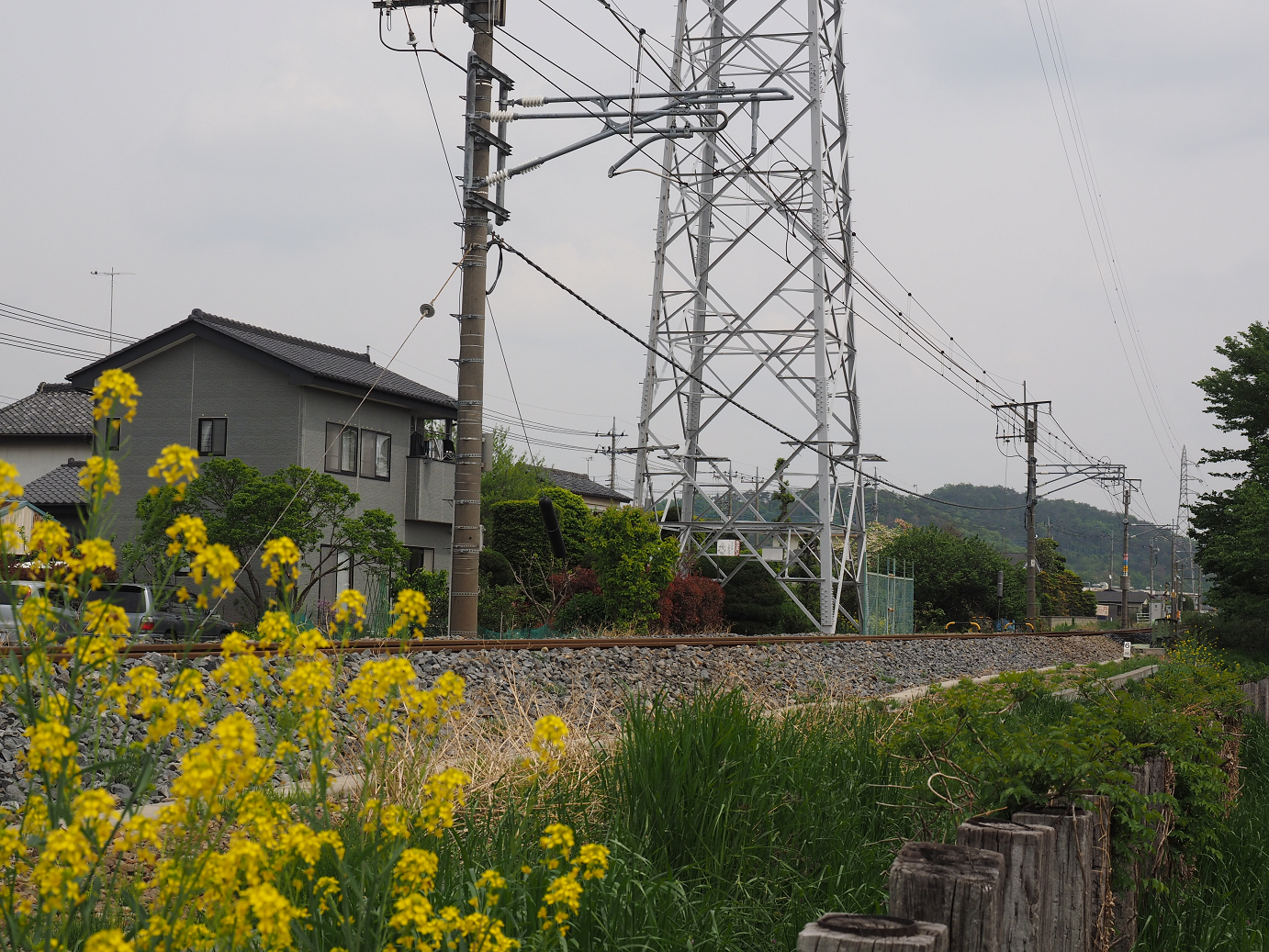 P4291079.jpg