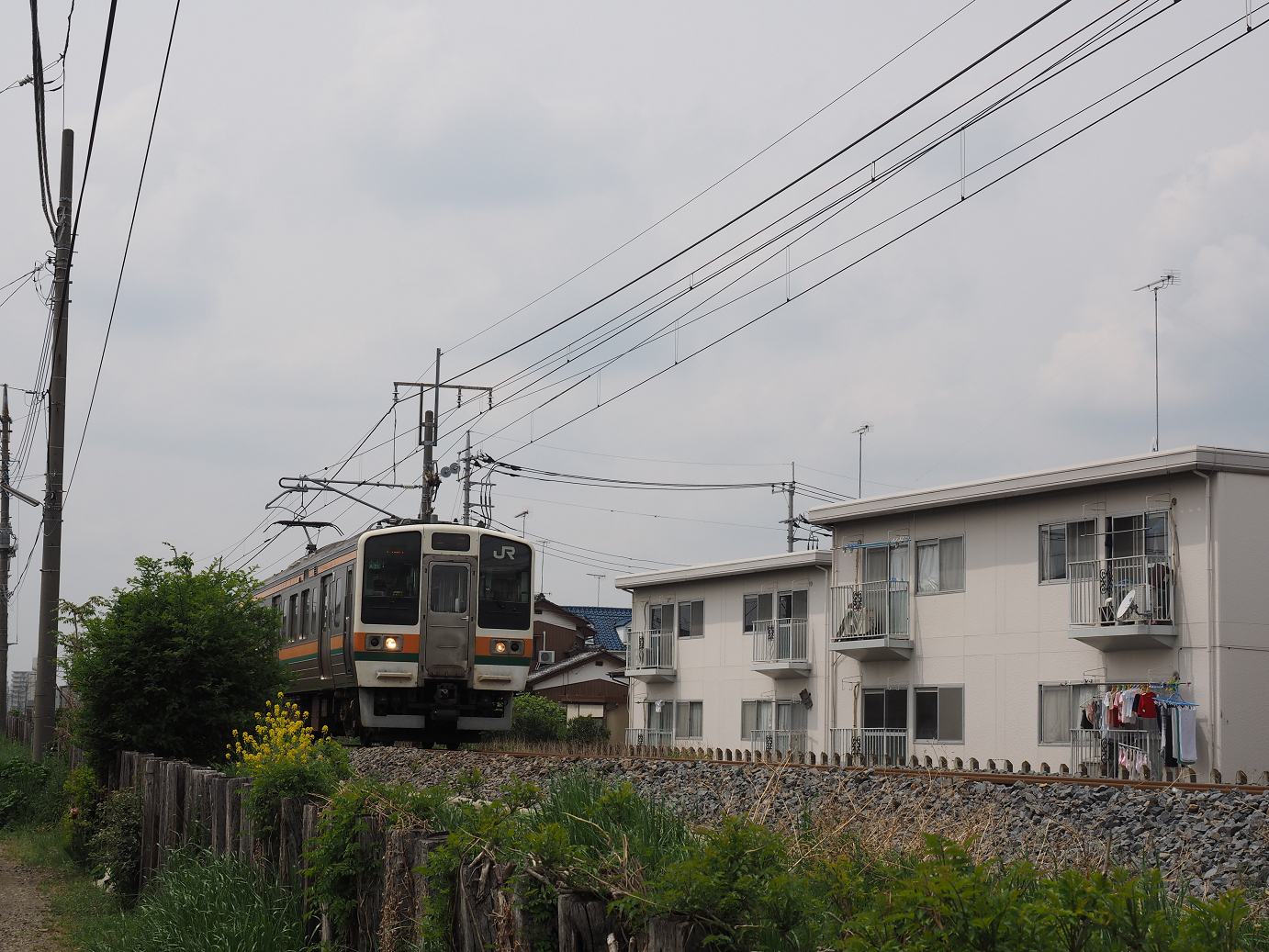 P4291081.jpg