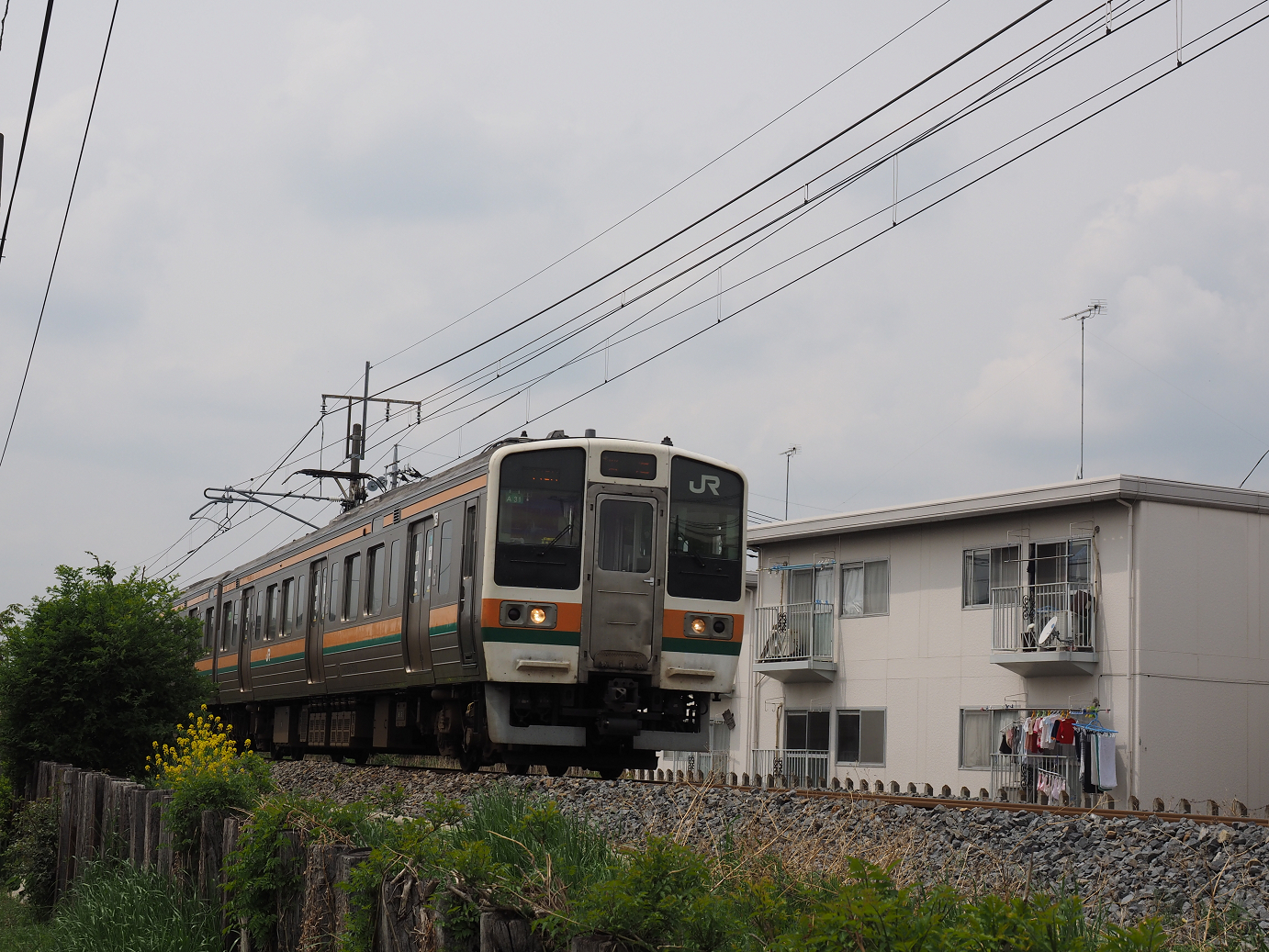 P4291084.jpg