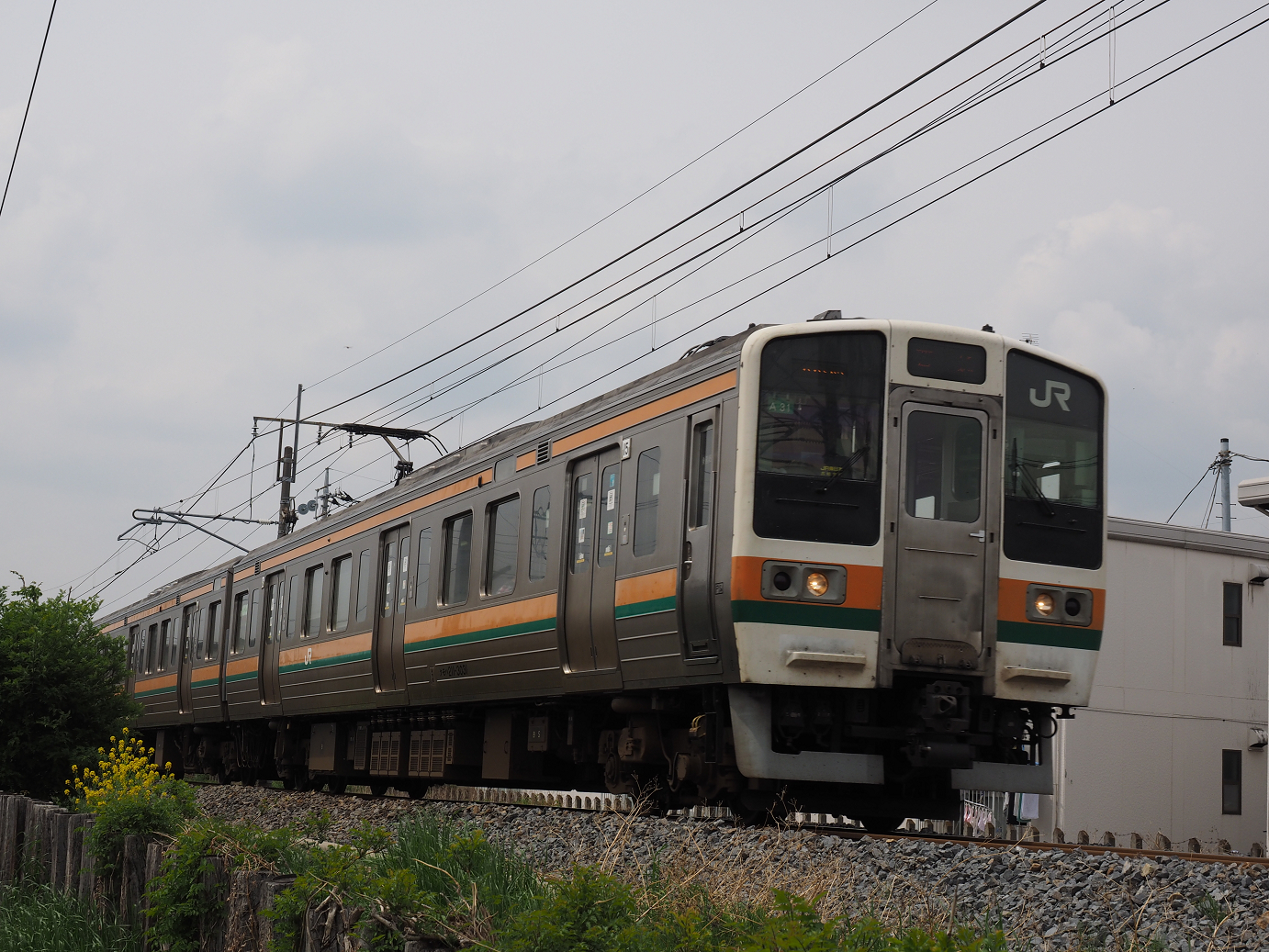 P4291086.jpg