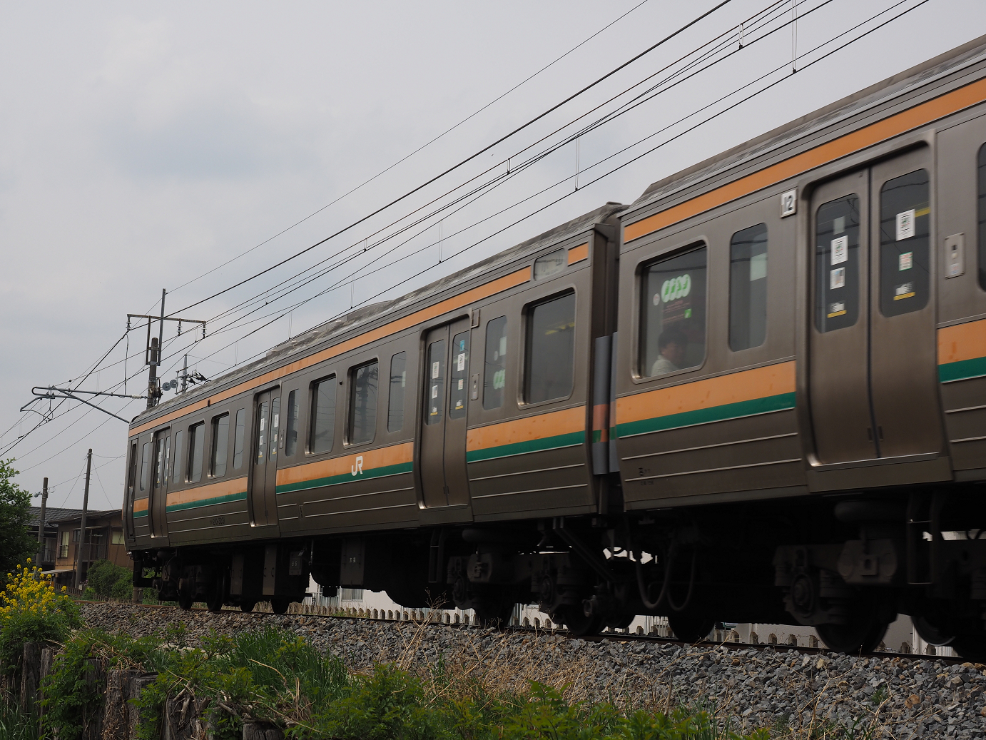 P4291105.jpg
