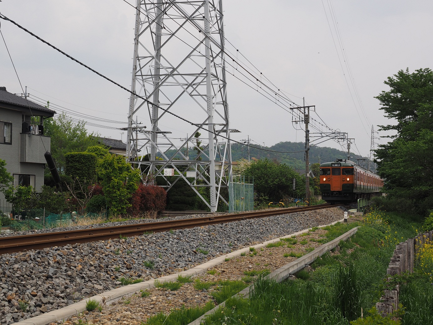 P4291126.jpg