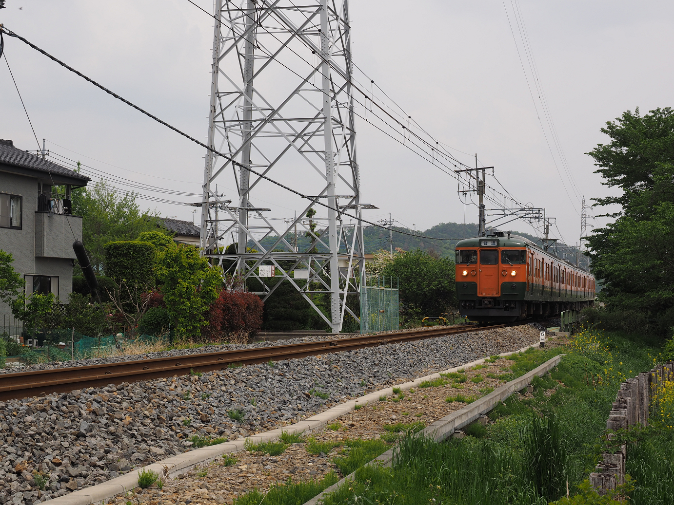 P4291129.jpg