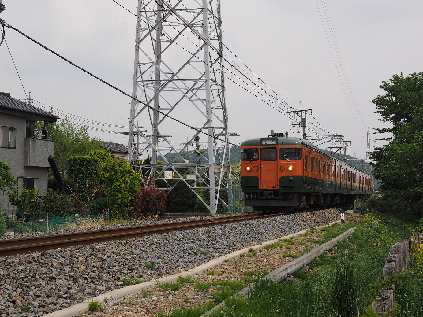 P4291132.jpg