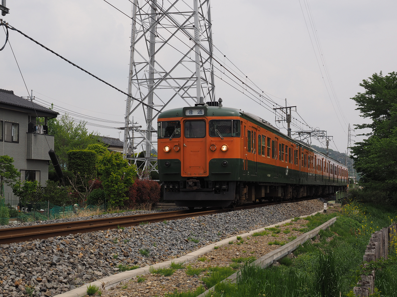 P4291135.jpg
