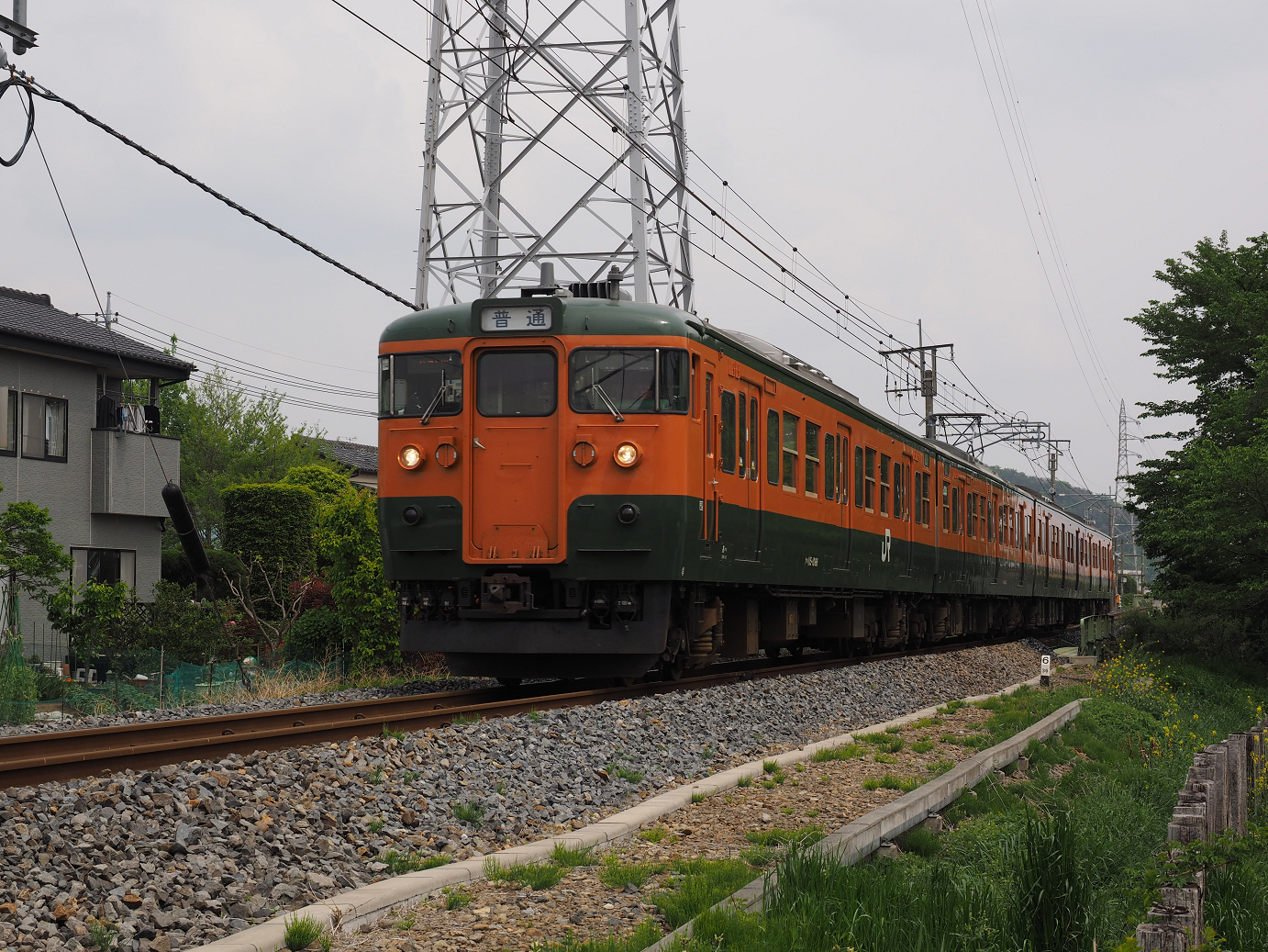 P4291136.jpg