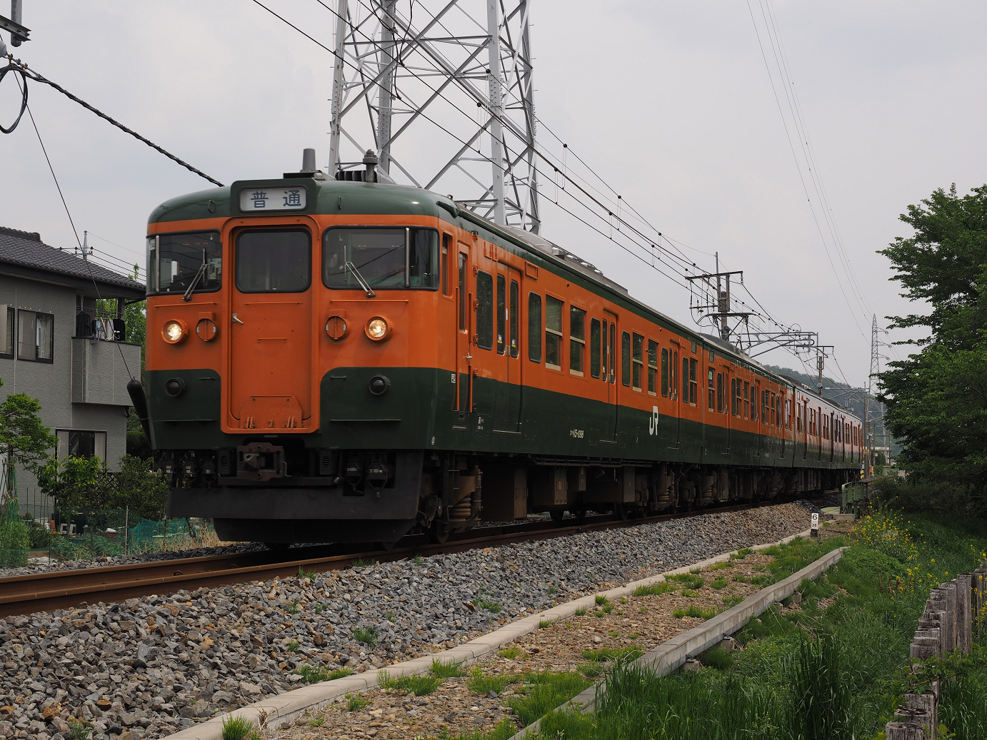 P4291137.jpg