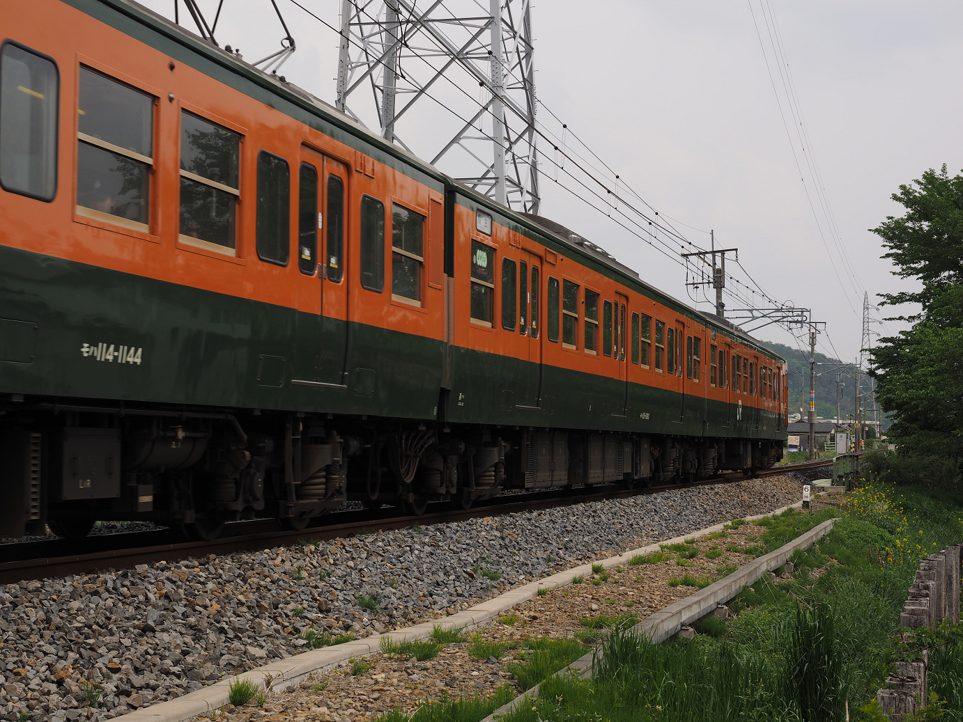P4291146.jpg
