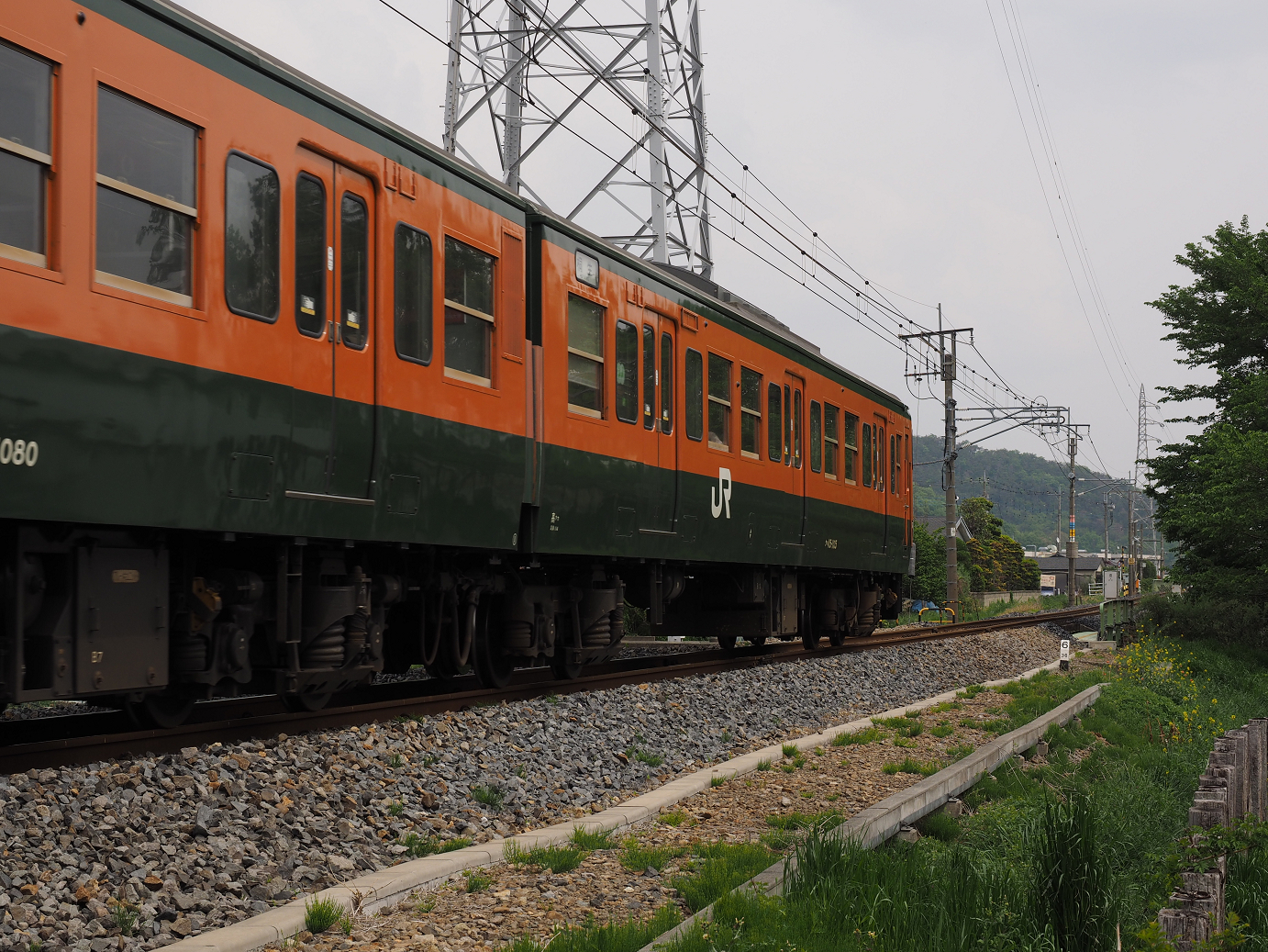 P4291151.jpg
