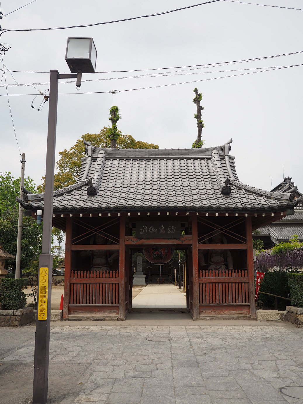P4291171.jpg