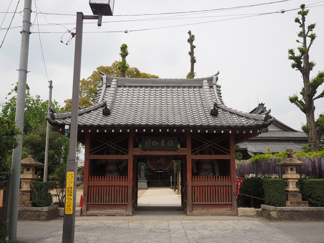 P4291172.jpg