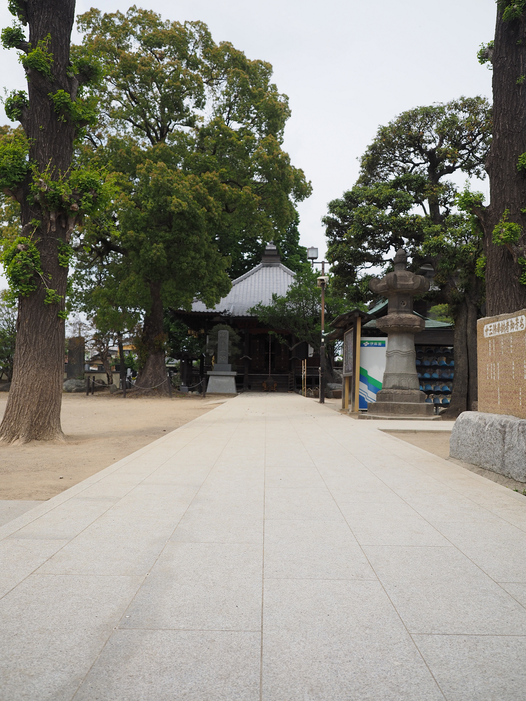 P4291176.jpg